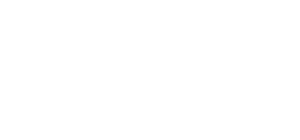 logotipo margarida